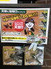 「天敵で虫除けオニヤンマのご紹介」