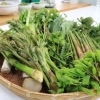 第22回「肘折温泉山菜の食まつり」