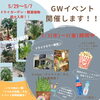 「ゴールデンウィークのイベントお知らせ【観葉植物専門店　福島市】」
