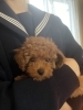 「出会ってしまったのです」