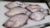 「赤ガレイの刺し身」