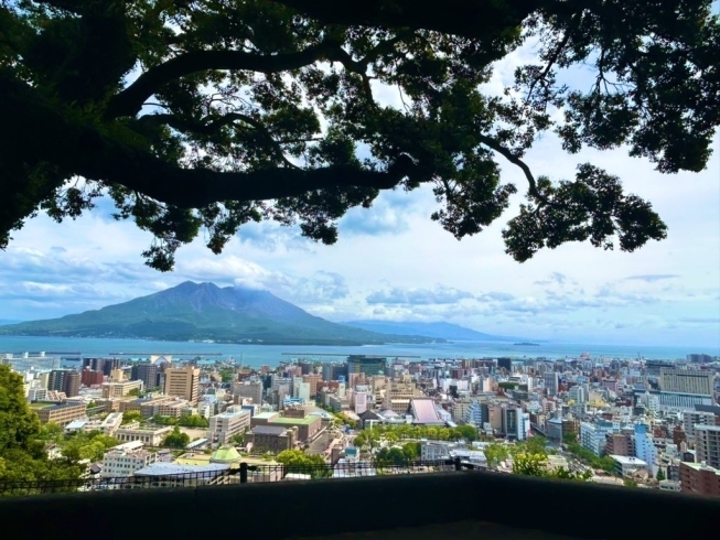 桜島と鹿児島市内を一望！絶景です！「研修に参加しました！　～in 鹿児島県～」