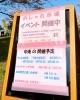 「白井市総合公園におしゃれ市場&わんちゃんマルシェがやって来たよ！」