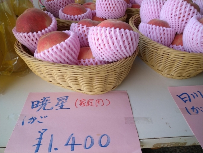 暁星「夏の風物詩！桃の販売始まりました！！【福島市/道の駅つちゆ/土湯温泉】」