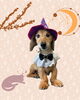「Dog salon mofu mofu　余市町」