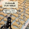 ボーンクッキーのご紹介「健康的で美味しい！愛犬とシェアできるワンちゃん用クッキー｜魔法洋菓子店ソルシエ」