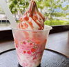 「【西条市 神拝甲】おおさかや 蔵はちさんの『いちごおり』が始まっています！」