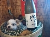 作　穂乃智「ZAKU」