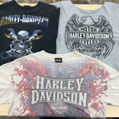 「和歌山古着屋LucidoBell Harley-Davidson Tシャツ追加！」