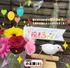 広報部長小太郎「蘇我店オープン3周年記念！特別キャンペーン実施中！」