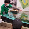 新規掲載店「長者ケ原考古館」さん「＼5月からまいぷれ糸魚川に仲間入り！／」