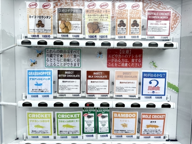 今年のラインナップ「販売開始♪【開田高原　信州霧しな　昆虫食　昆虫食自動販売機】」