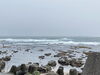 今朝の外房の海「大シケ」