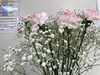 「今週のお花」