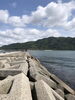 アオリイカ釣りに行きました「【島根県浮気調査】離婚を前提とした場合の浮気調査のメリット」