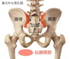 痛みやすい関節「腰痛の方もくる！？【ジム/ボディメイク/ダイエット/機能改善/パーソナルジム/安心安全/小伝馬町/人形町/馬喰町/浜町】」