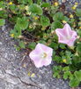 「5月9日（火）」