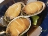 外房小湊産とこぶしの甘辛煮「とこぶしの甘辛煮」