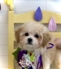 ご家族決まりました♡「ご家族決まりました ٩(๑❛ᴗ❛๑)۶」