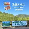 「長野県『春の全国交通安全運動』が実施されます。まもなく、道の駅木曽福島で出陣式が行われます！」