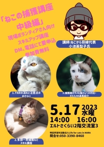 セミナー残席10名「猫に困ったらご相談を、サポートさせていただきます(活動地域は主に奈良県中南部、それ以外もご相談下さい」