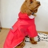 全2色 2,300円「雨の日散歩に必需品の、お手頃価格のレインコート入荷しました」