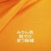 商品番号：yellow37-2「２０２３年５月１１日再入荷と新商品」