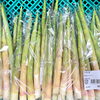 「信州産『根曲がりだけ』が入荷しました！」
