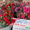 「花『母の日』プレゼントラッピング承ります！」