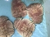 「魚魚市場鮮魚コーナーおすすめは「うちわエビ」です♪」