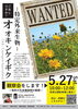 「＼高須海岸で外来種植物を観察しよう！／ 外来種観察会参加者募集！」