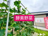 「酵素で野菜作り、美味しさが違います♪【福島市鎌田にある酵素浴･痩身エステ】」