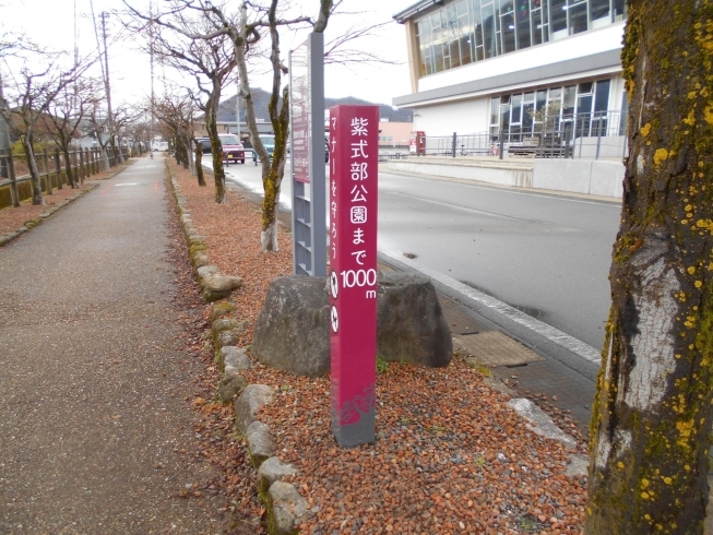 「【今話題の紫式部】ドラマ館〜紫式部公園を結ぶ「ふるさとを偲ぶ散歩道」に新しいサインを設置しました！」
