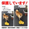 「迷い犬を保護しています【西条市実報寺（周越トンネル付近）】」