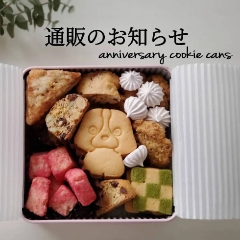 「四街道木の実のおやつとのコラボレーション「4周年Anniversaryクッキー缶」がついにオンラインで販売開始！」