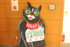 「NYANXI（ニャンクシー）展示中」