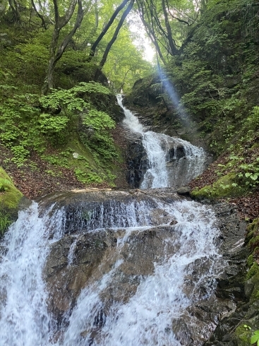 縁結びの滝「縁結び　お客様リクエスト代表して行ってきました」