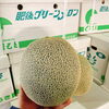 「今年も入荷始まってます！ 熊本県産「肥後グリーンメロン」です～♪」