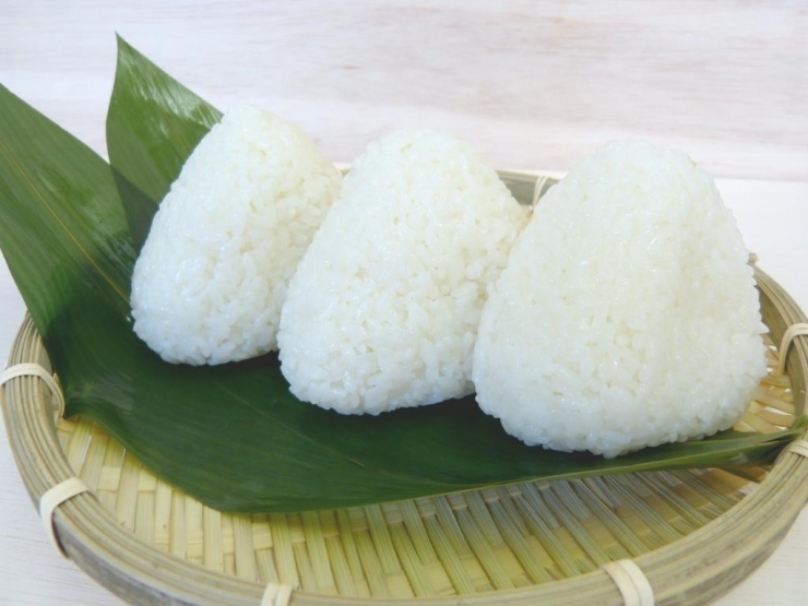 ふっくら、ツヤツヤ！　の美味しいご飯を食べる秘訣とは…