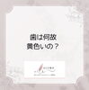 何故？「歯の色」