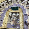 ZASSHU Vol.2 絶賛無料配布中です「雑誌「ZASSHU」の無料配布」