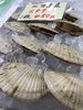 「魚魚市場鮮魚コーナーおすすめは「北海道産ホタテ・のどぐろ」です♪」