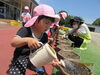 もっと大きく育ってね！「ミニヒマワリの芽が出ました」