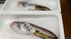 大型ヒゲダラ「ヒゲダラちゃん」