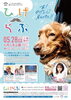 ひげらぶイベント開催「動物愛護イベント『ひげらぶ』開催！」
