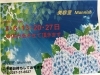 ご案内「早いですが、6月のお休みのご案内」