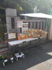 「日蓮宗妙栄院　野菜販売しています。」