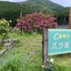 大内山手作りバラ園
