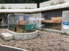 コツメカワウソ展示場のプール「コツメカワウソ展示場のプール掃除」