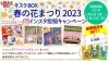 「キスケBOX　春の花まつり2023　インスタ投稿キャンペーン終了のお知らせ」